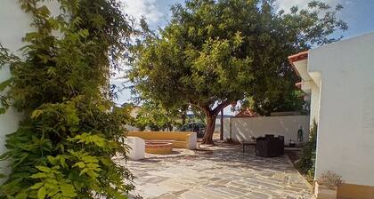 O Mundo da Lua - Galinheiro