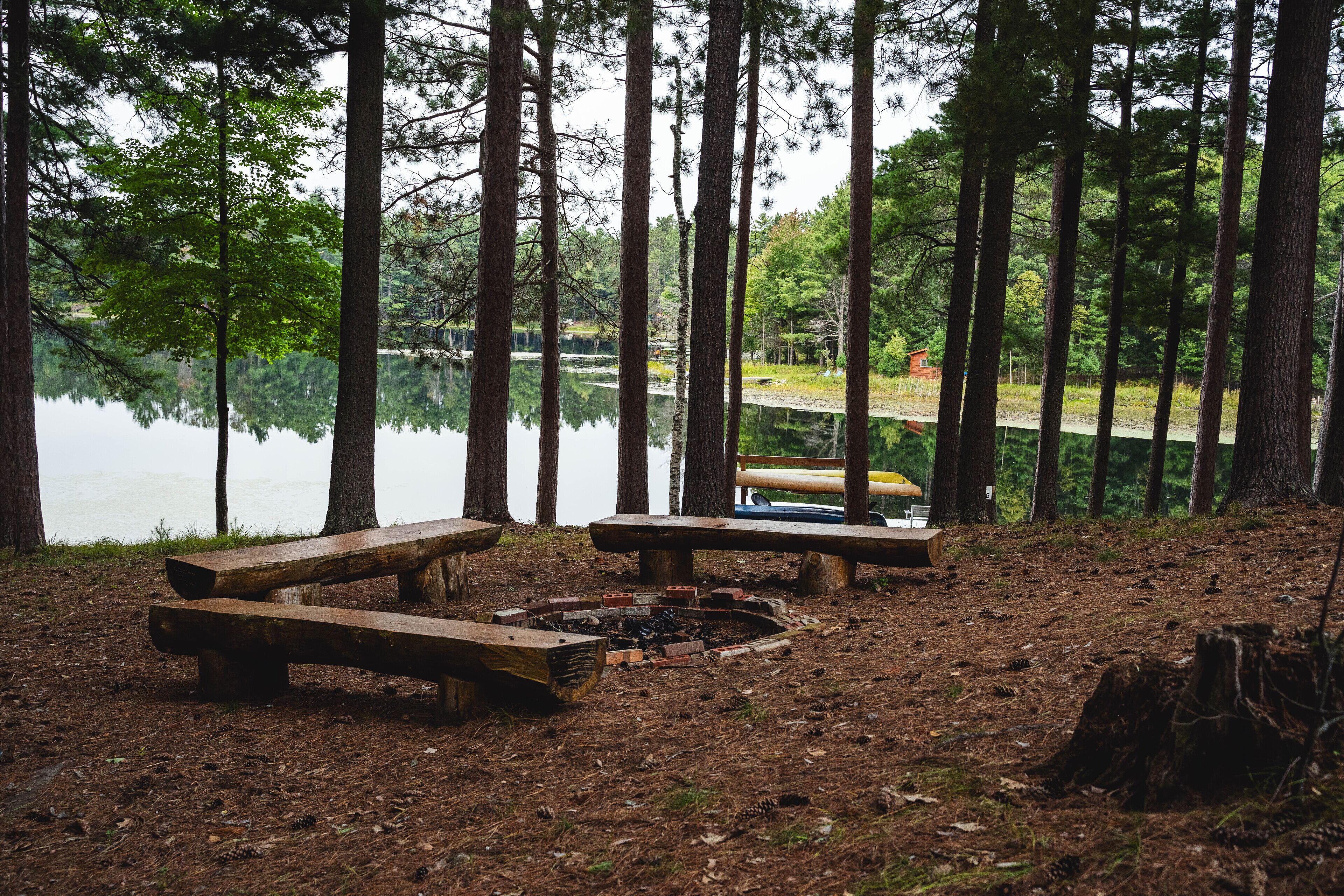 A forested area with a fire pit and benches near a lake.