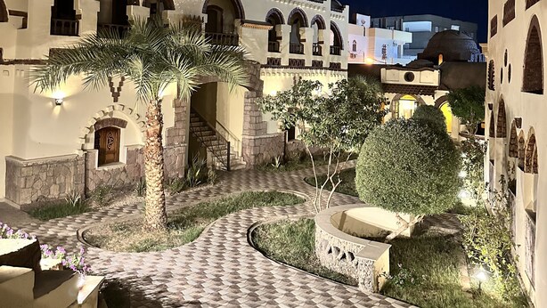 Un patio con un camino a cuadros, arcos y una palmera.