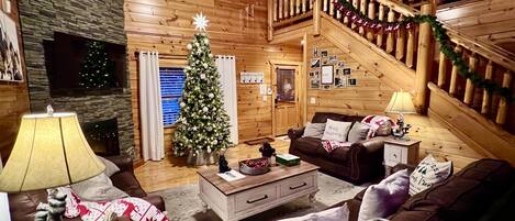 Smart TV, fireplace, video games, DVD player