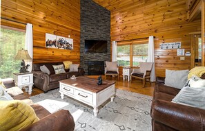 Smart TV, lareira, videogames, DVD player