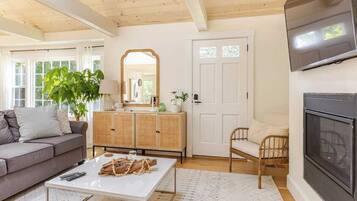 Smart TV, fireplace, books