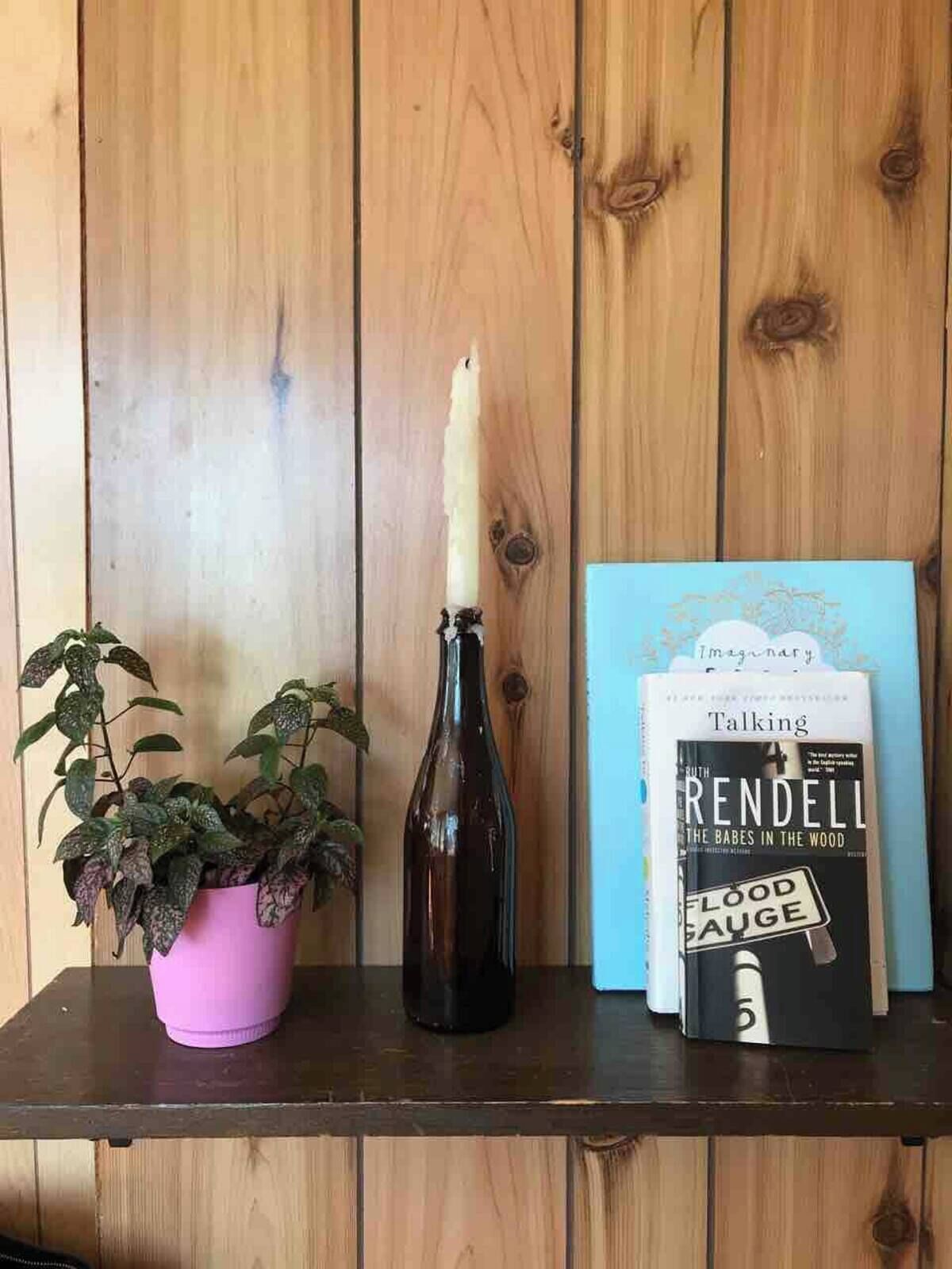A wooden shelf with a potted plant, a candle, and a book titled 'Talking Rendel'.