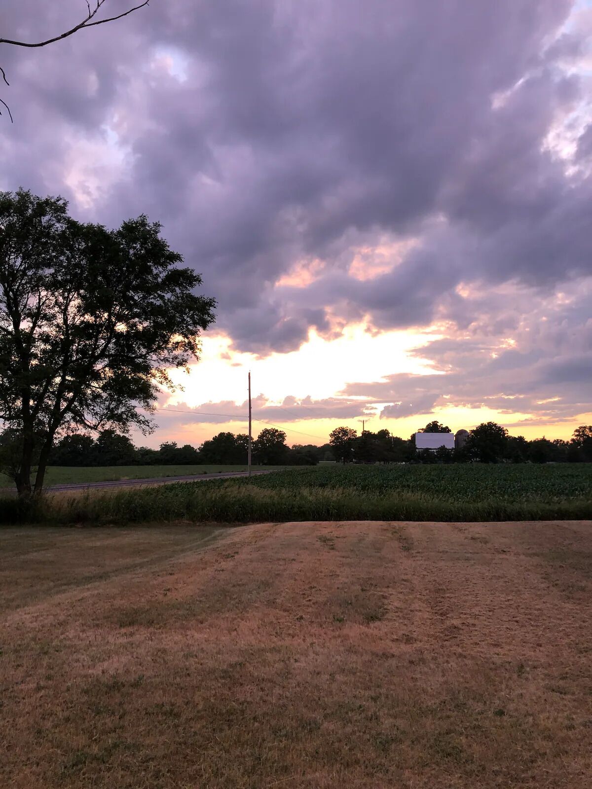Un paysage rural avec un champ, un grand arbre et un bâtiment visible au loin, sous un ciel nuageux.