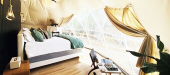 Luxury Geodome with Tons of Amenities - The Tranquil Star