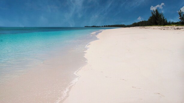 A beach with clear turquoise water and white sand. - Lillian's Downstairs - Island Comfort & Charm (Green Turtle Cay)