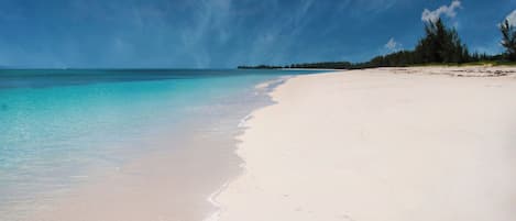 Vlak bij het strand, strandlakens