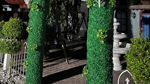 An archway with green foliage and two lantern-style lights, leading to a seating area with a swing chair. - Do you want to select a perfect place to know Miami?. This is R and R Hostal.  (Miami)