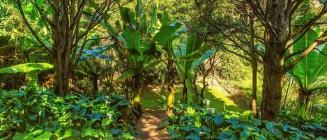 المنطقة المحيطة بالمنشأة