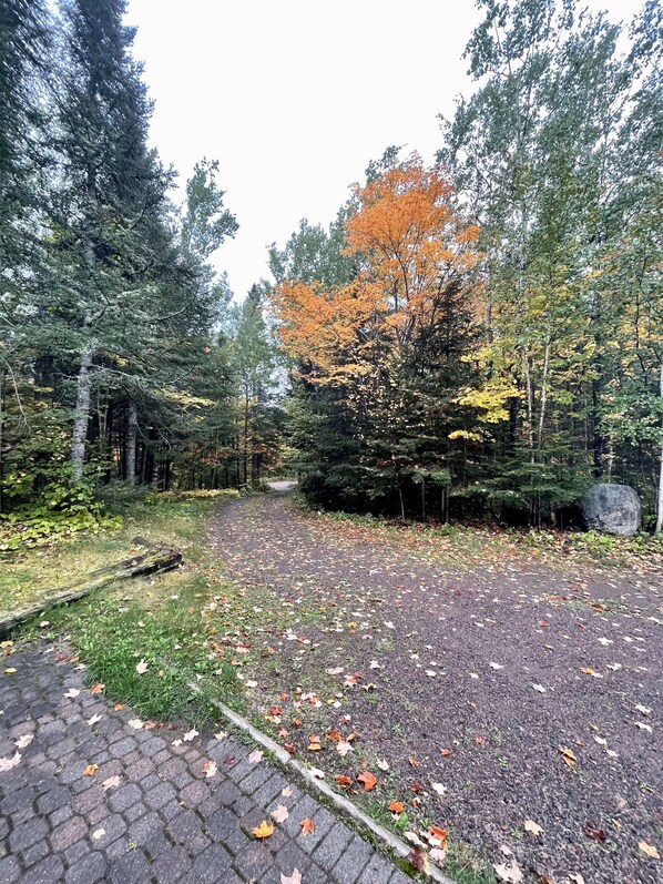 Un sentier pavé traversant une zone boisée où les arbres arborent leurs couleurs automnales.