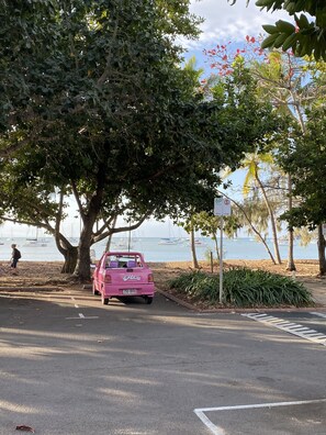 Property grounds - Beachside Tropical Paradise Magnetic Island NQ - Rustic Nth facing retreat (Horseshoe Bay)