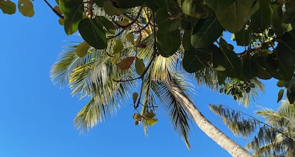 Beachside Tropical Paradise Magnetic Island NQ - Rustic Nth facing retreat