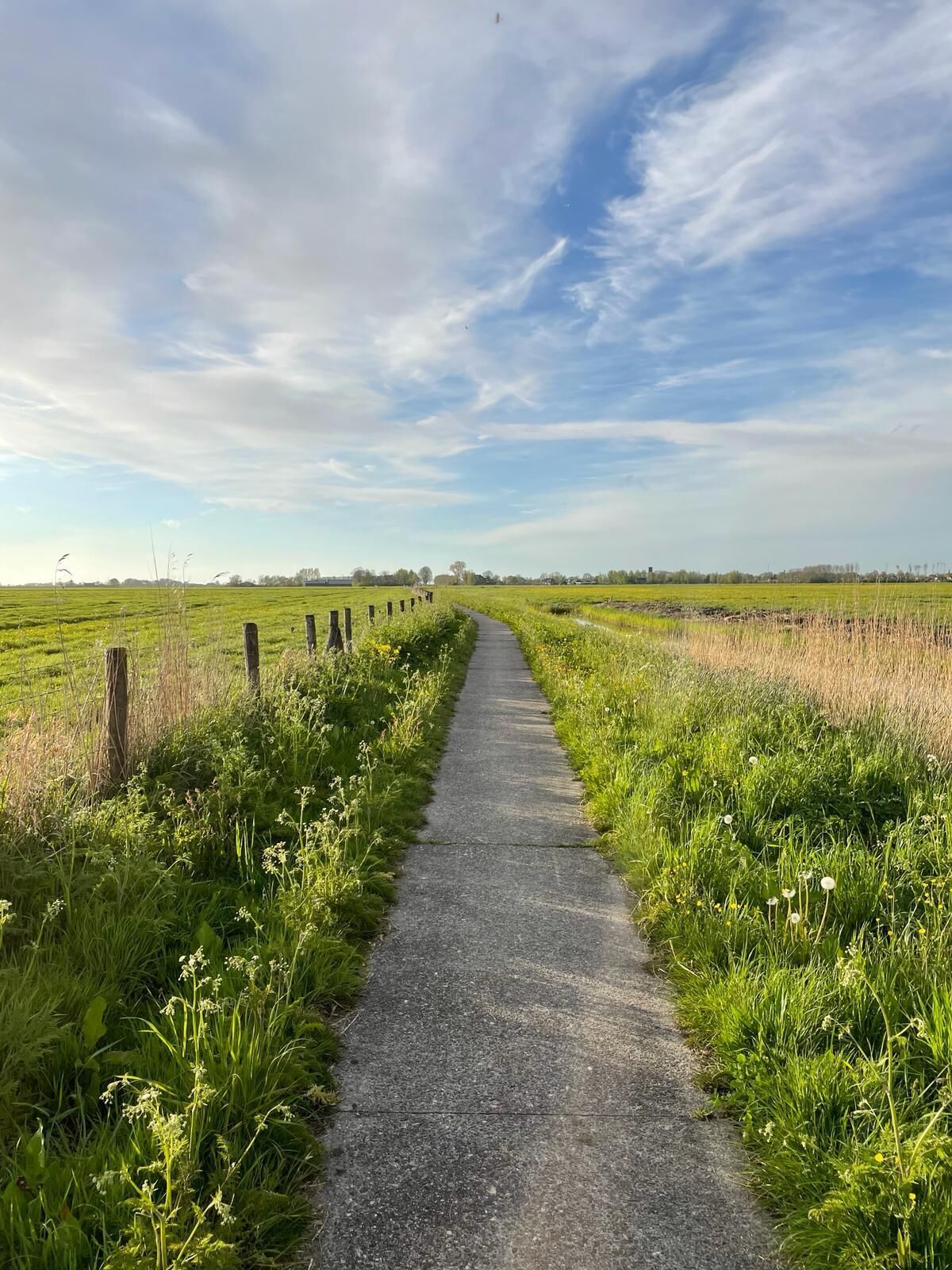A paved pathway through a grassy field with a fence on one side and a clear sky above.