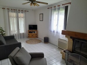 TV, fireplace, video games, books