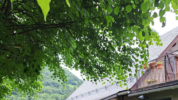 A building with a covered patio area, a black garage door, and a well-maintained garden with a lawn and potted plants. - Maison de Montagne Avec Jardin Privé (Sarrancolin)