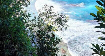 Le Coulicou charmant T2 dans un écrin de verdure!