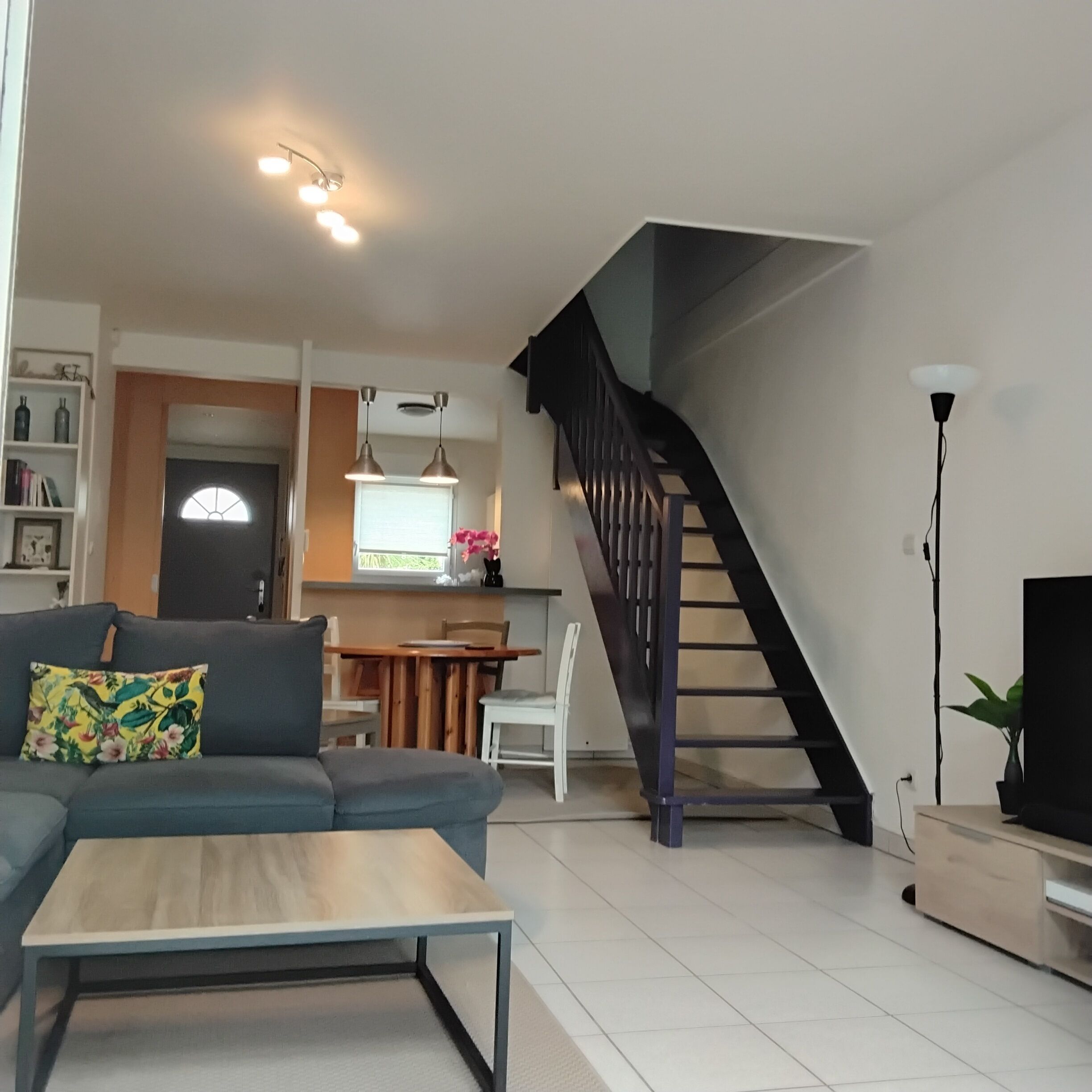 Smart TV, videojuegos, reproductor de DVD y libros 