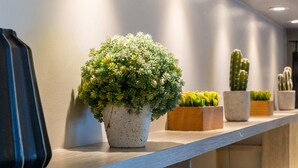 Un espace d’accueil moderne, avec un long comptoir, des plantes en pot et une mallette.