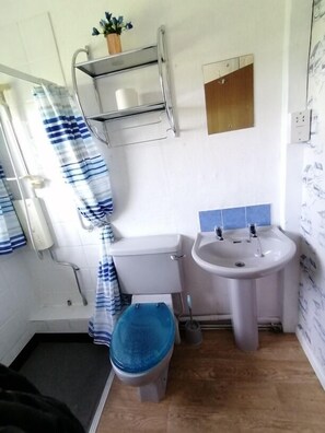 Cottage | Bathroom | Shower, towels - Lovely 2-bed Cottage in Pencarreg (Llanybydder)