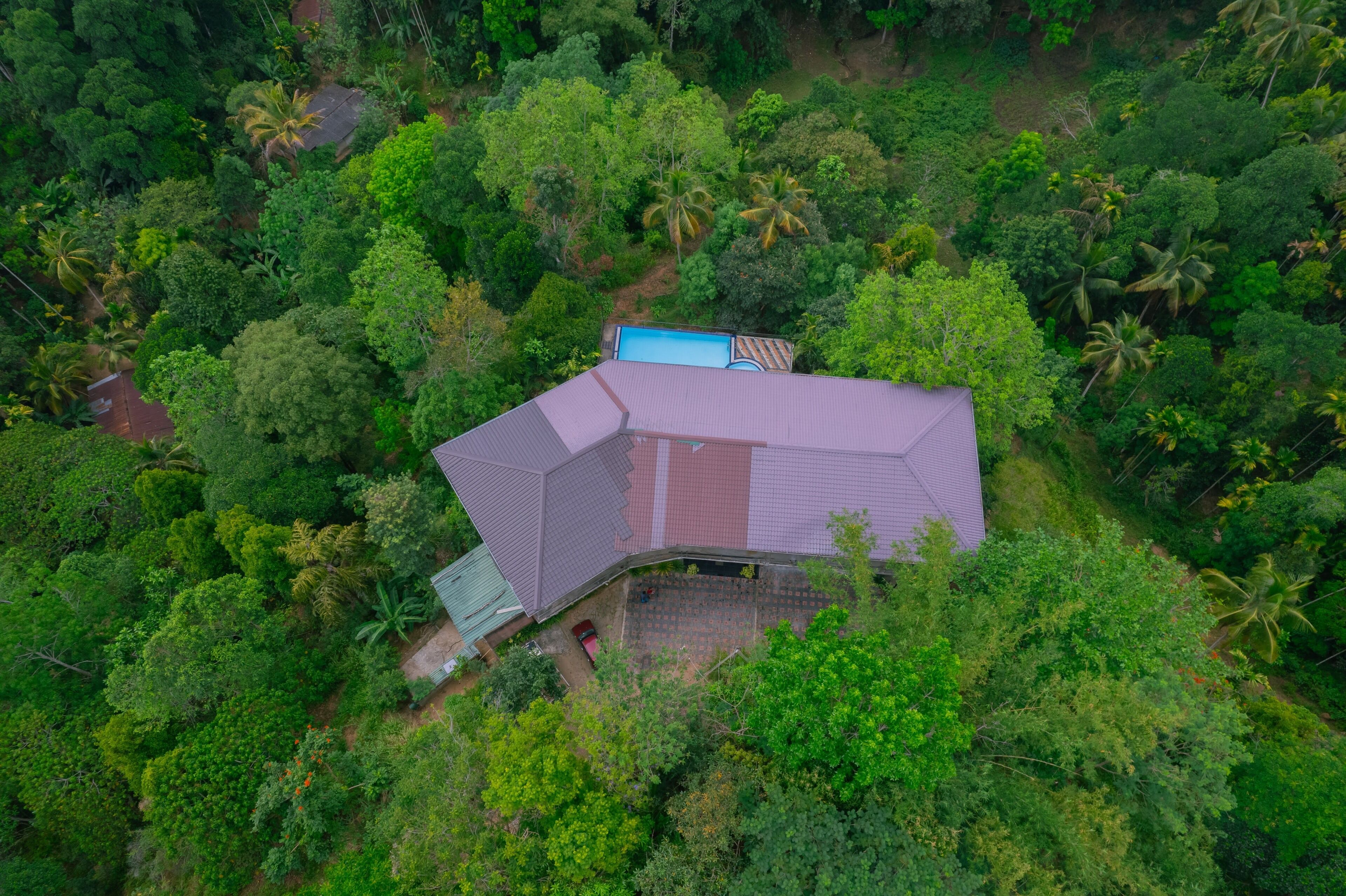 Vista aérea de una casa rodeada de densa vegetación tropical, con techo inclinado y piscina visible.