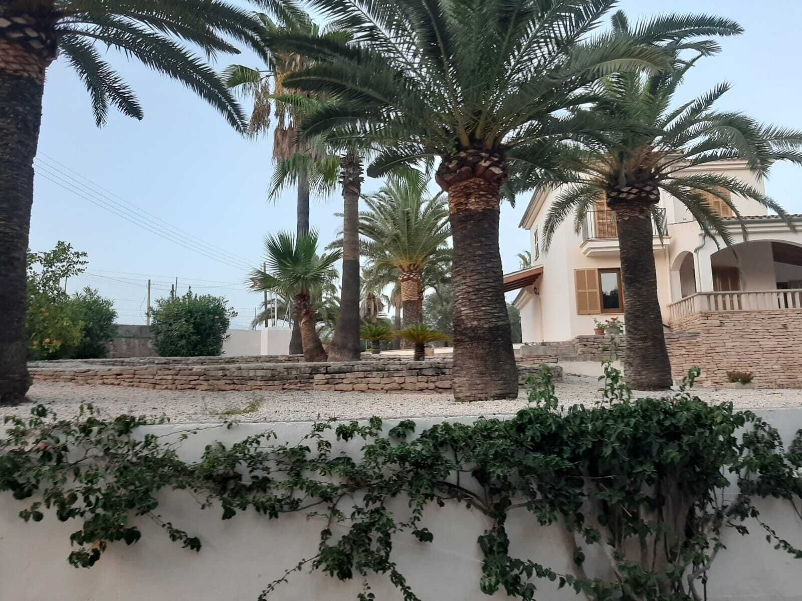 A coastal property with palm trees, a stone wall, and a building with a balcony.
