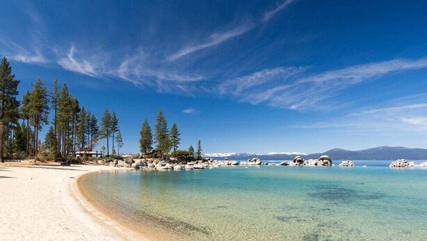 A beach with clear turquoise water, sandy shore, and tall pine trees.