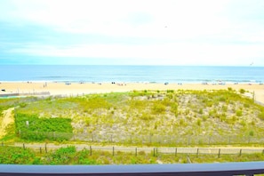 A beach with a sandy shore, a wooden fence, and a grassy area in the foreground.