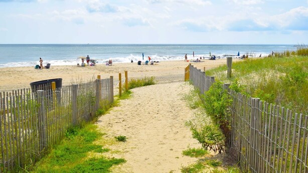 A sandy beach path leading to the ocean with a wooden fence on one side and a grassy area on the other. - Amber Waves 300 3 Bedroom Condo by RedAwning (Ocean City)