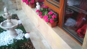 A garden with a fountain, potted plants, and a statue.