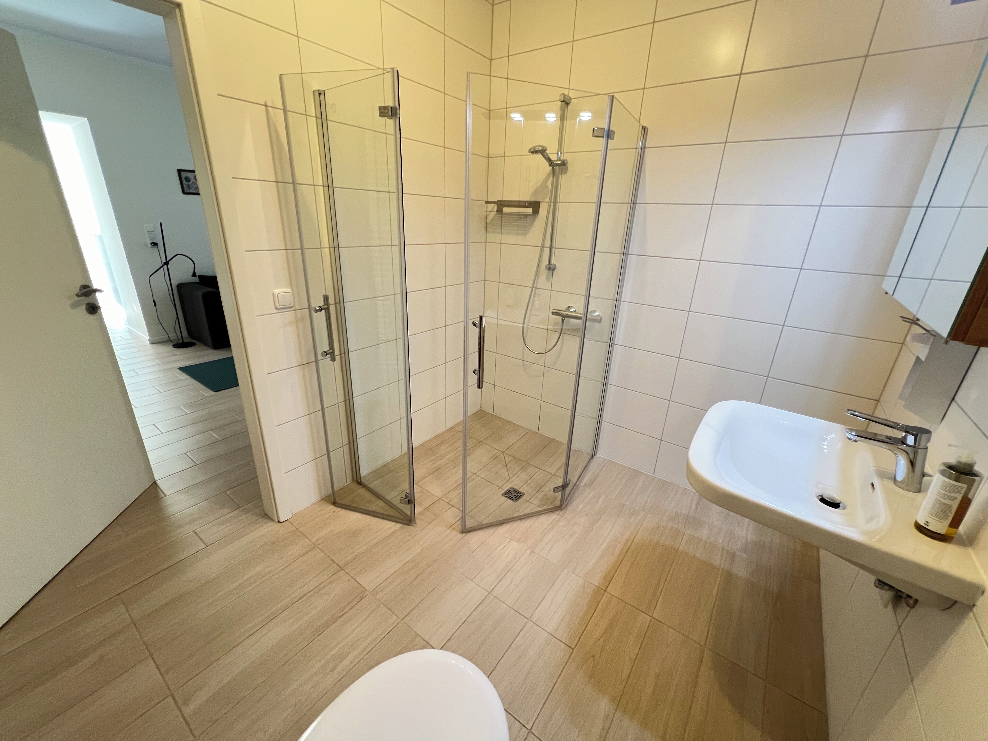 A modern bathroom with a glass shower enclosure, a white sink, and a toilet.