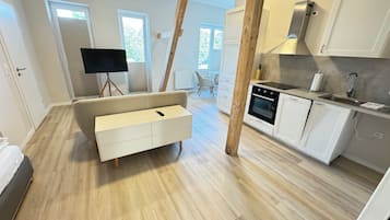 經典公寓, 1 間臥室 | 1 間睡房、羽絨被、手提電腦工作空間、隔音