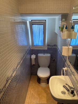 Dusche, Haartrockner, Bidet, Handtücher