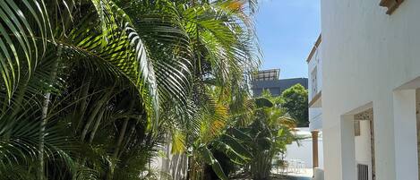 Overnattingsstedets uteområder