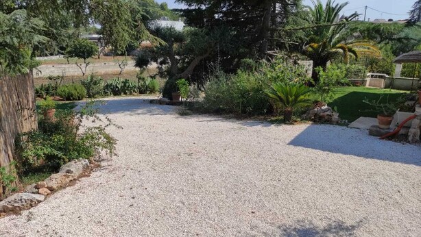 Une allée de gravier mène à une maison entourée de différentes plantes et d’arbres.