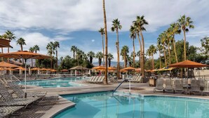 A pool area with lounge chairs and umbrellas, surrounded by tall palm trees.