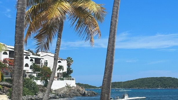 A beach with palm trees, a boat, and a building with balconies. - Oceanfront Cowpet Bay Condo Beach, Pool & Generator (St Thomas)