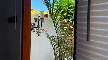 Basic Room | Terrace/patio