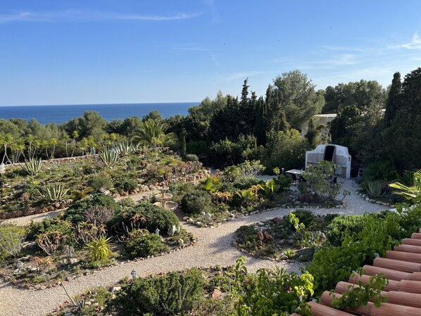 A garden with a variety of plants and a small structure, likely a gazebo, with a view of the sea in the background.