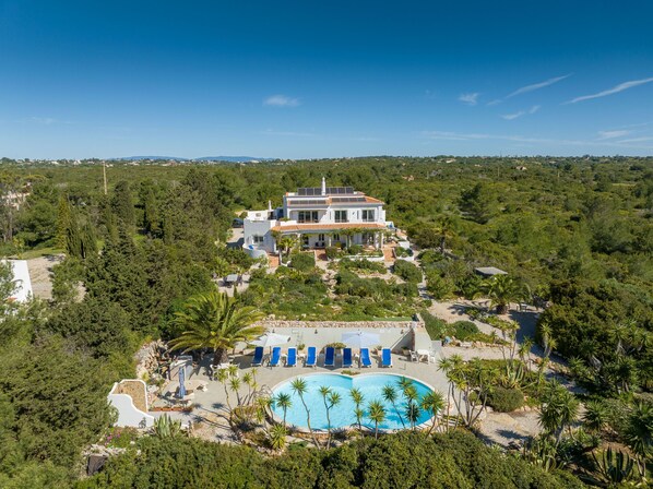 Een moderne villa met zwembad, omgeven door weelderige begroeiing en een helderblauwe lucht.