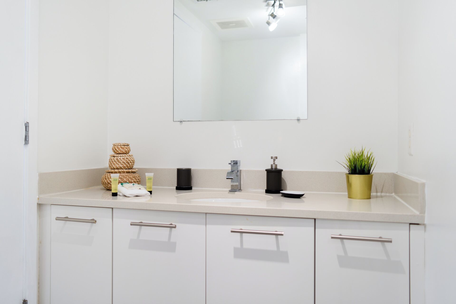 A bathroom with a white sink, a mirror, and a potted plant.