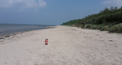 Haus zum Strand "muschel" Inmitten Schöner Natur Unweit vom Strand in Barendorf