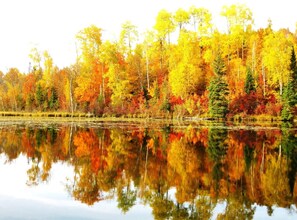 A serene lake surrounded by autumn-colored trees reflecting in the water. - Jack The Horse Lake Cabin -Pool Table-Wifi-Tub-Trails-Peaceful-Dining Closeby! (Marcell)