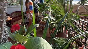 Un balcon agrémenté de plantes en pot et offrant une vue sur l’océan.