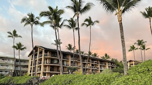 A multi-story hotel with balconies, surrounded by lush greenery and palm trees.