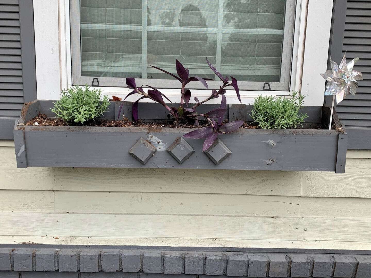 A window box with plants on a building's exterior wall.