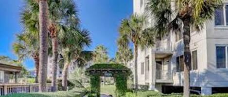 A pathway lined with palm trees leading to a building with a covered entrance.
