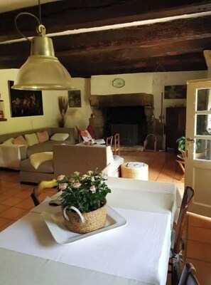 Televisión, chimenea, libros y estéreo 