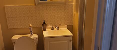 Un baño con inodoro, lavabo y ducha.