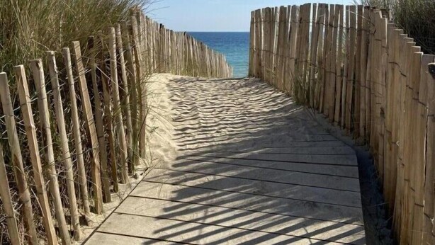 Ein hölzerner Steg führt zum Strand, gesäumt von hohem Gras und einem klaren, blauen Himmel.