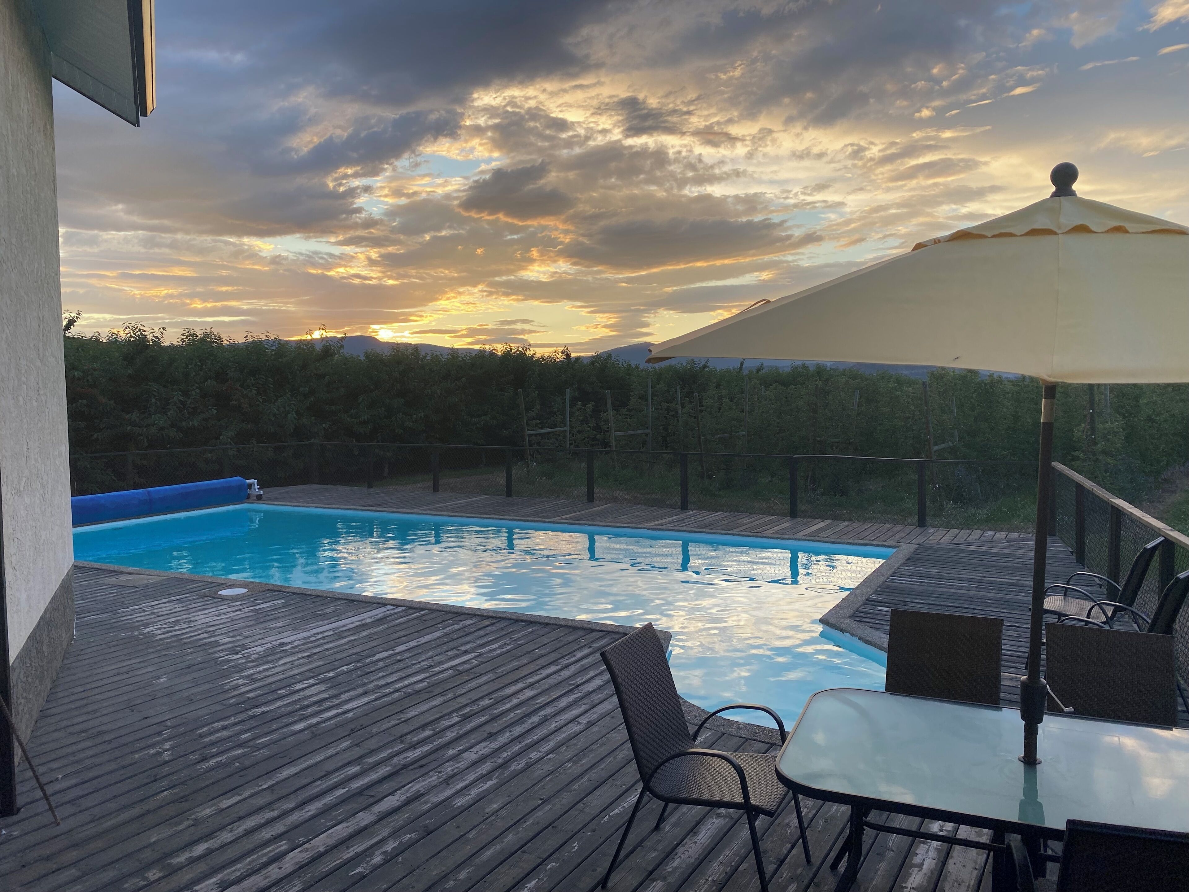 4 bed house, on Orchard with pool! 